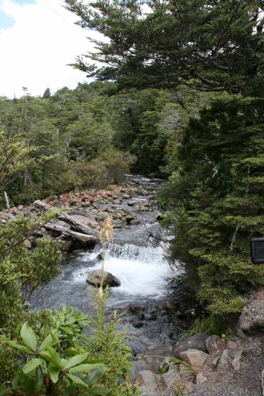 Nieuw-Zeeland 2011 - 0841
